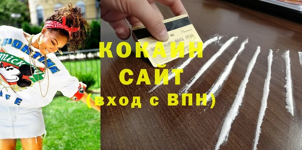 СК Алексин